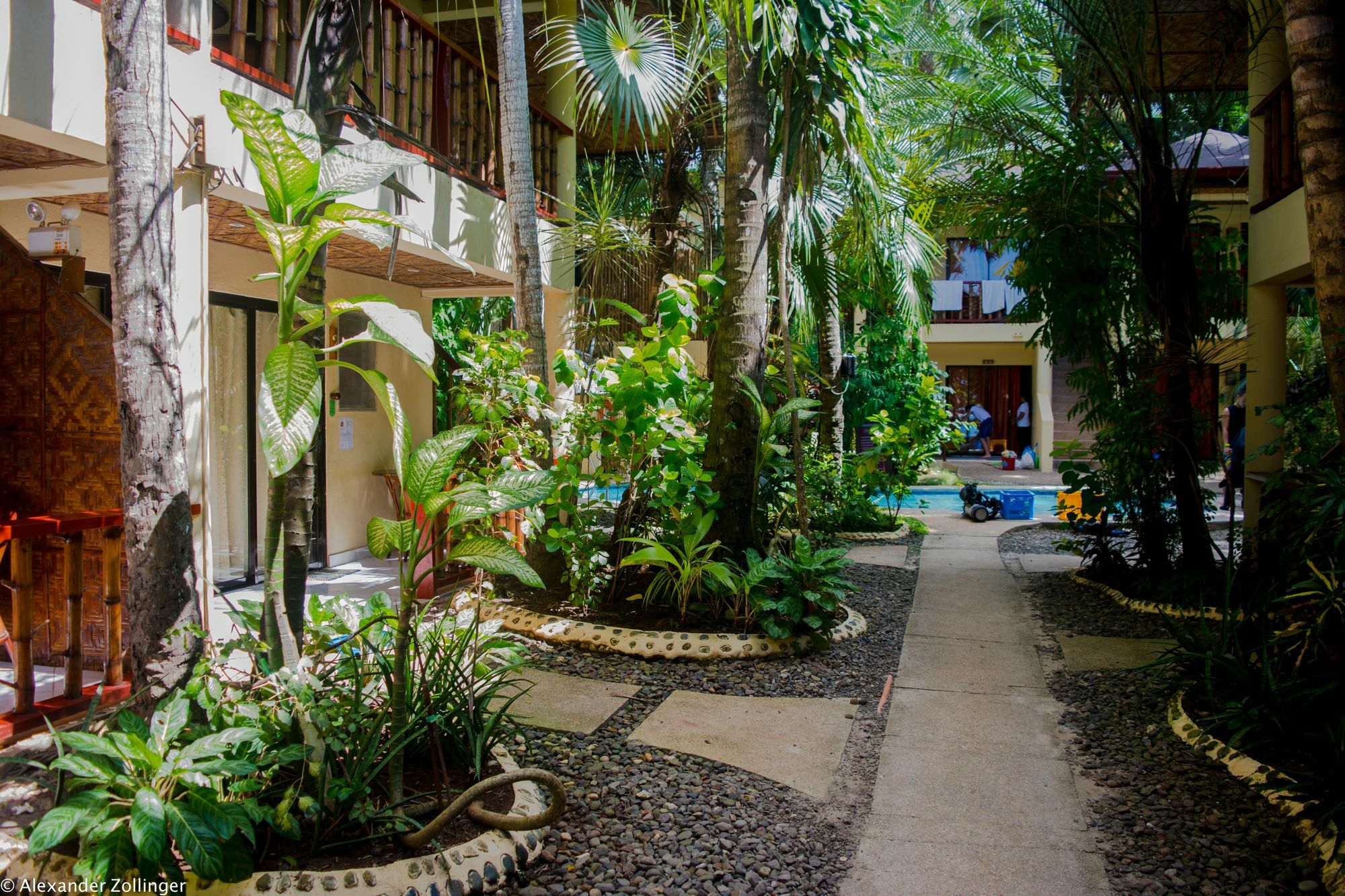 Alona Vida Beach Resort Panglao Exterior foto